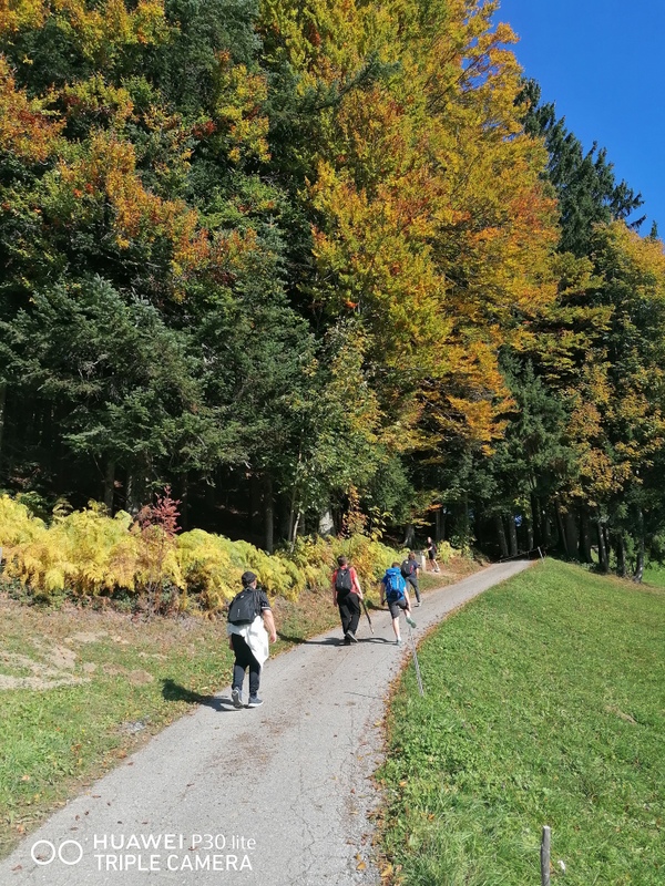IMG_20221006_113702.jpg 