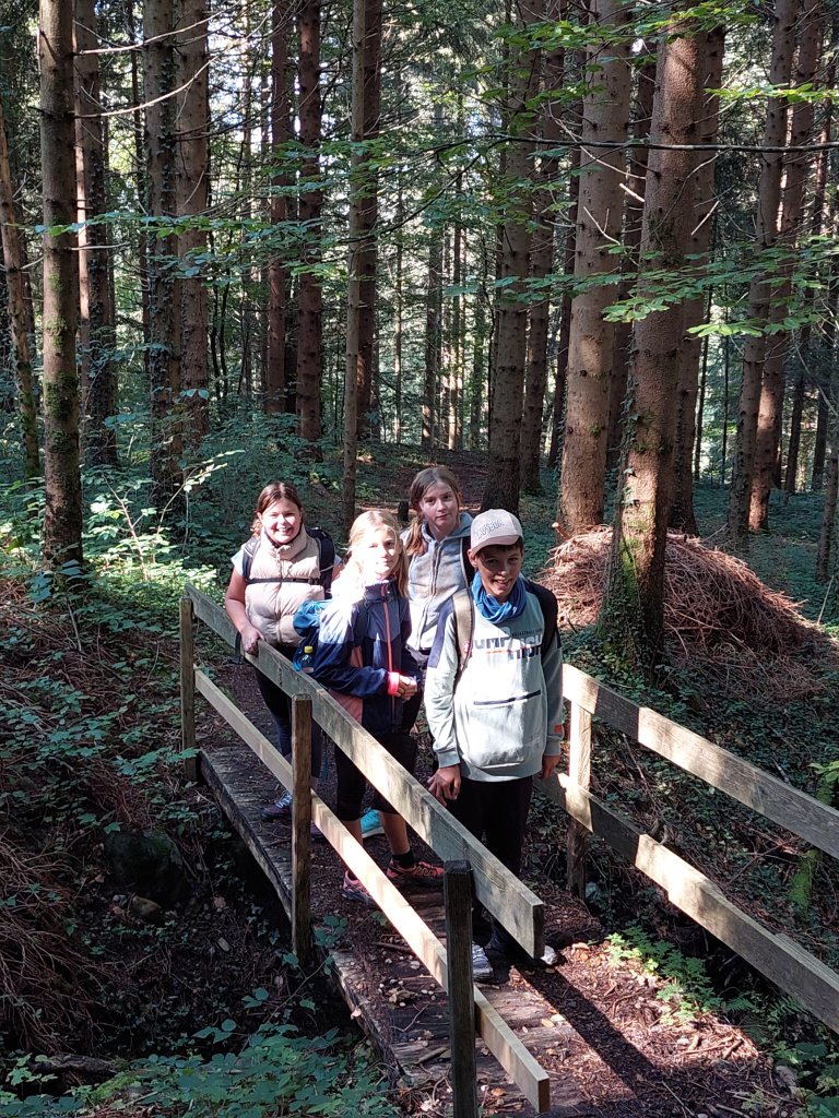 IMG-20240919-WA0035.jpg 