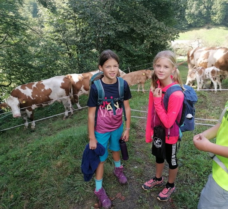 IMG_20240919_122453.jpg 
