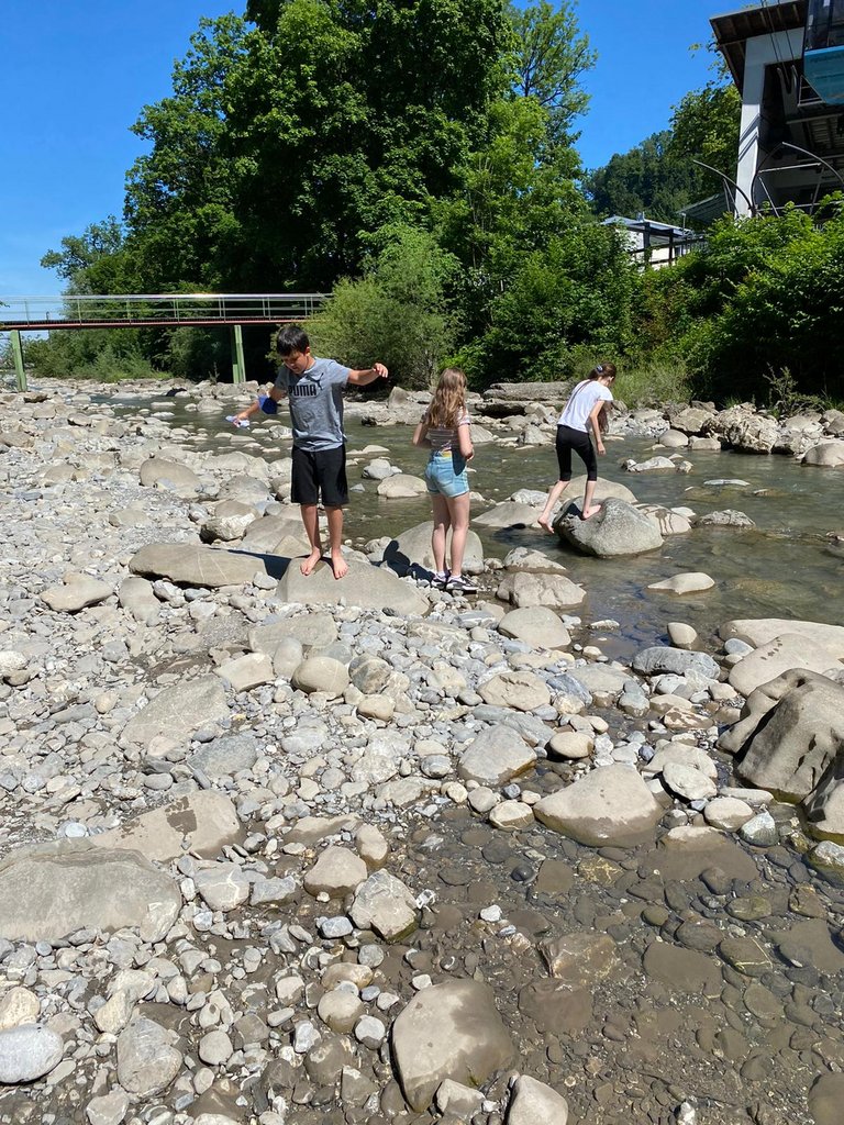 IMG-20210617-WA0003.jpg 