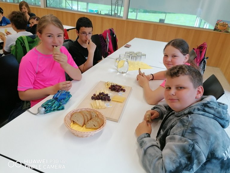 IMG_20220524_112241.jpg 