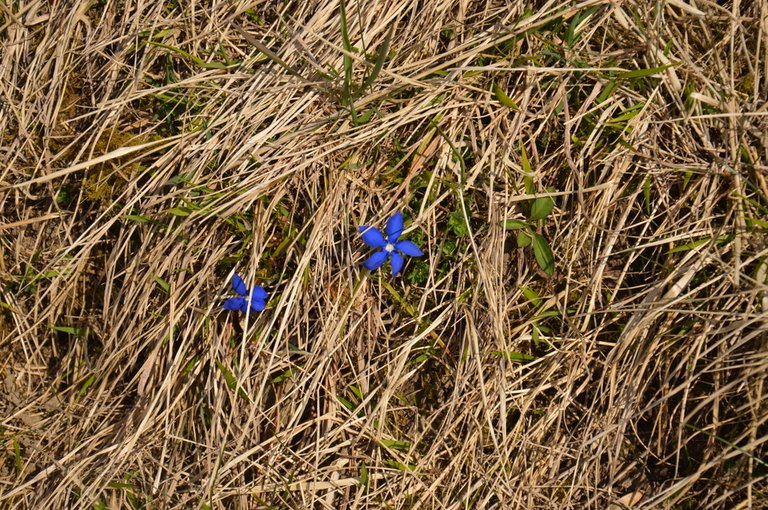 DSC_1616.JPG 