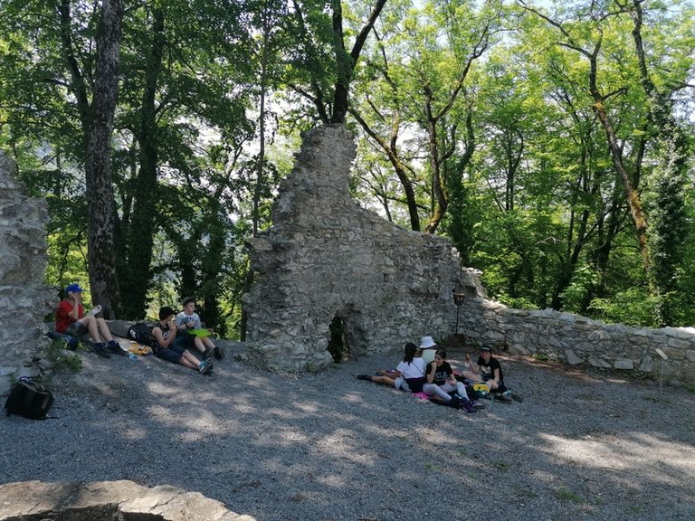 IMG_20210602_124204.jpg 