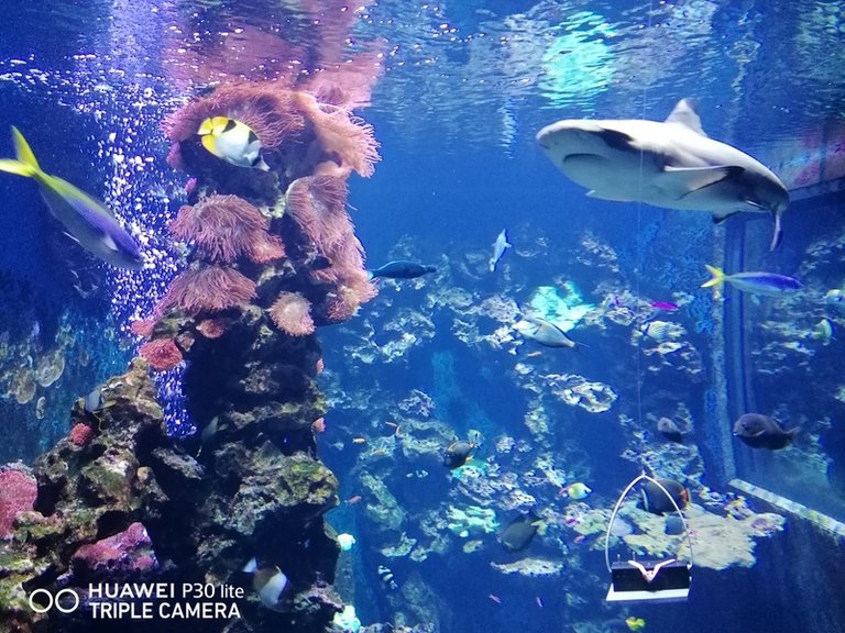 IMG_20230628_102932.jpg 