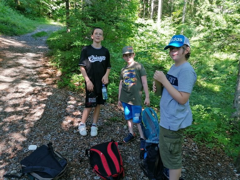 IMG_20210614_101019.jpg 